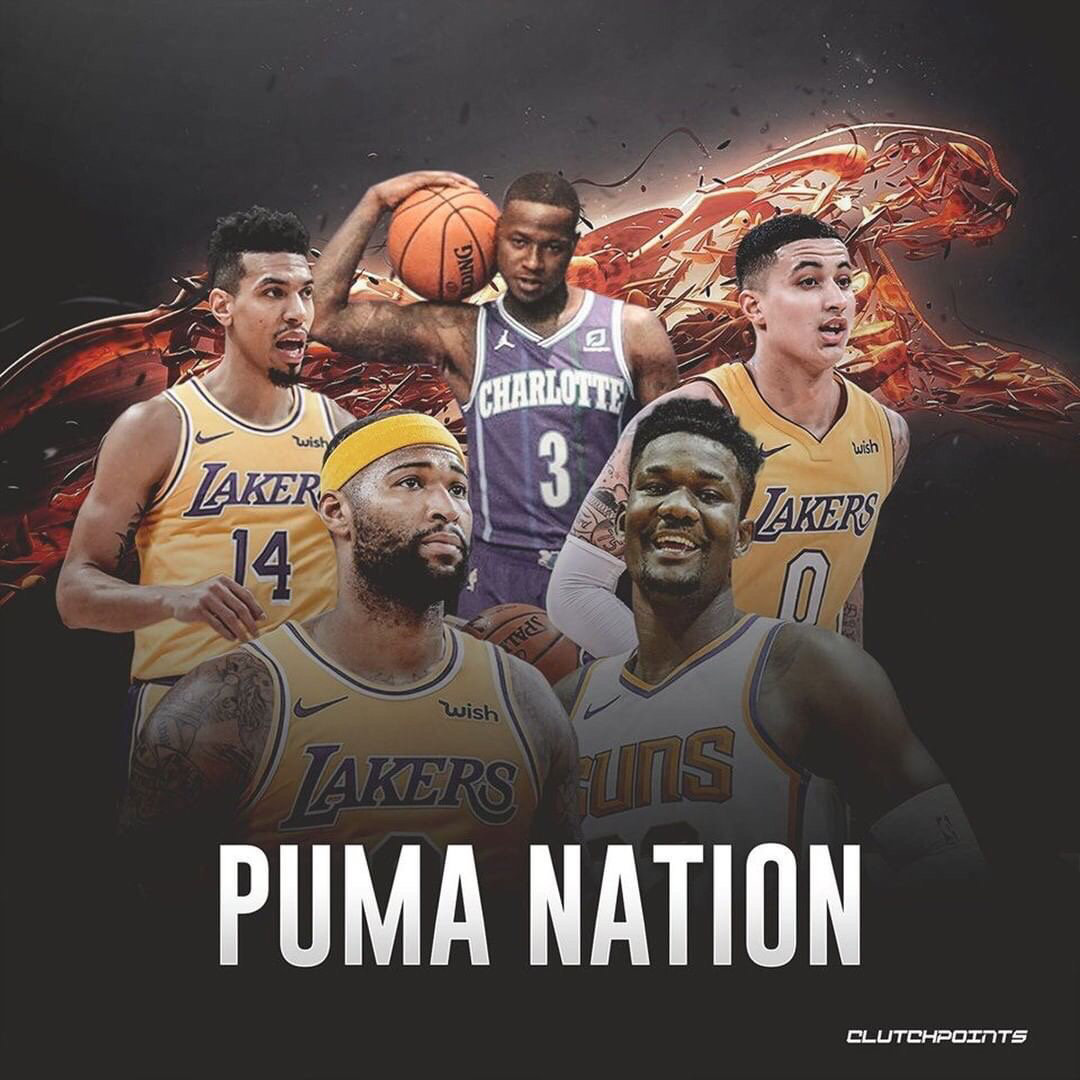 无疑是引人 无疑是引人